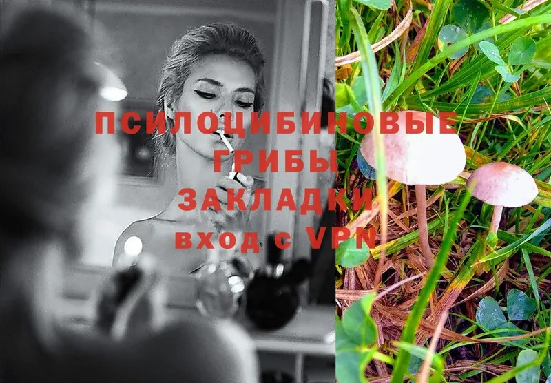 Псилоцибиновые грибы GOLDEN TEACHER  Нижневартовск 