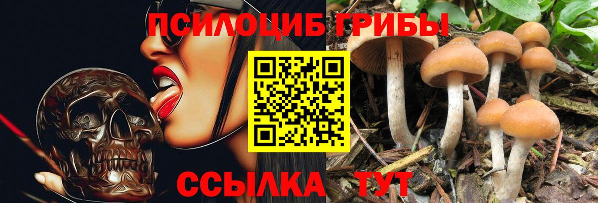 Галлюциногенные грибы GOLDEN TEACHER Нижневартовск