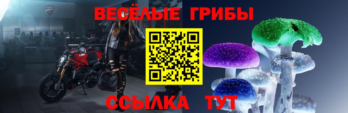 Галлюциногенные грибы MAGIC MUSHROOMS  Вход с VPN  Псилоцибиновые грибы мицелий  Нижневартовск 